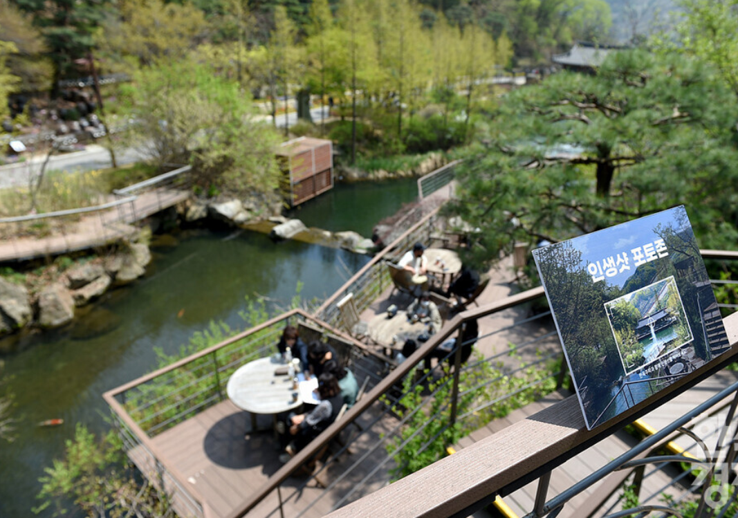 화담숲 예약 취소