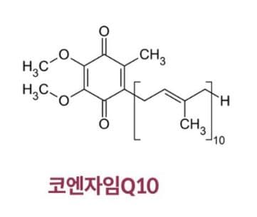 코엔자임 큐텐의 효능