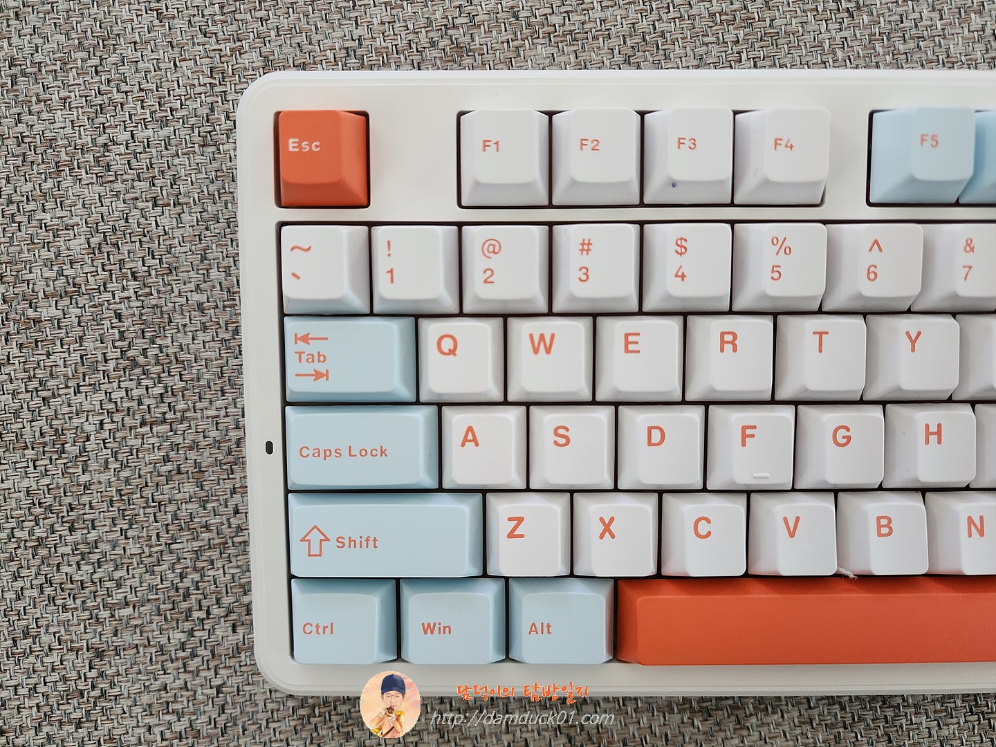 AULA F87 Pro 독거미 키보드