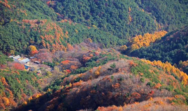 모악산 등산코스