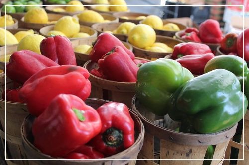 피망의 대표 효능