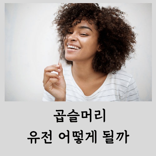 유전-곱슬머리-어떻게-유전될까-반곱슬-직모