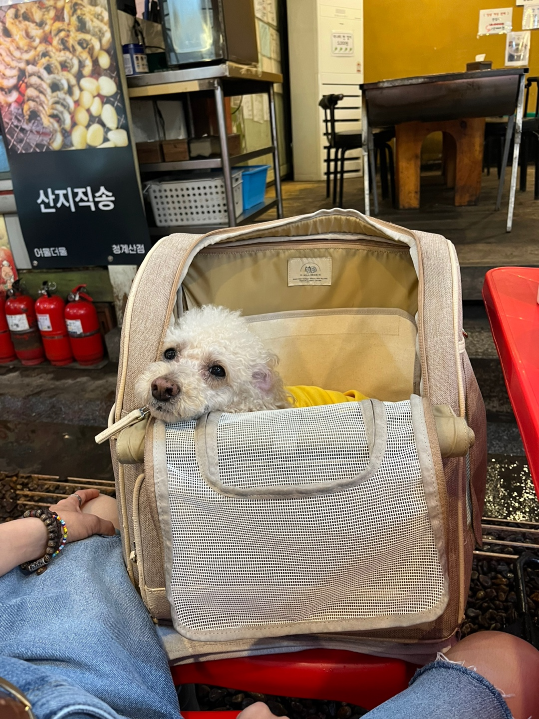 청계산 어울더울 반려견 동반 양갈비 오겹살