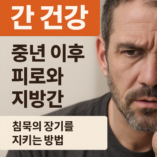 간 건강 ― 중년 이후 피로와 지방간 (셀메드 추천 제품)