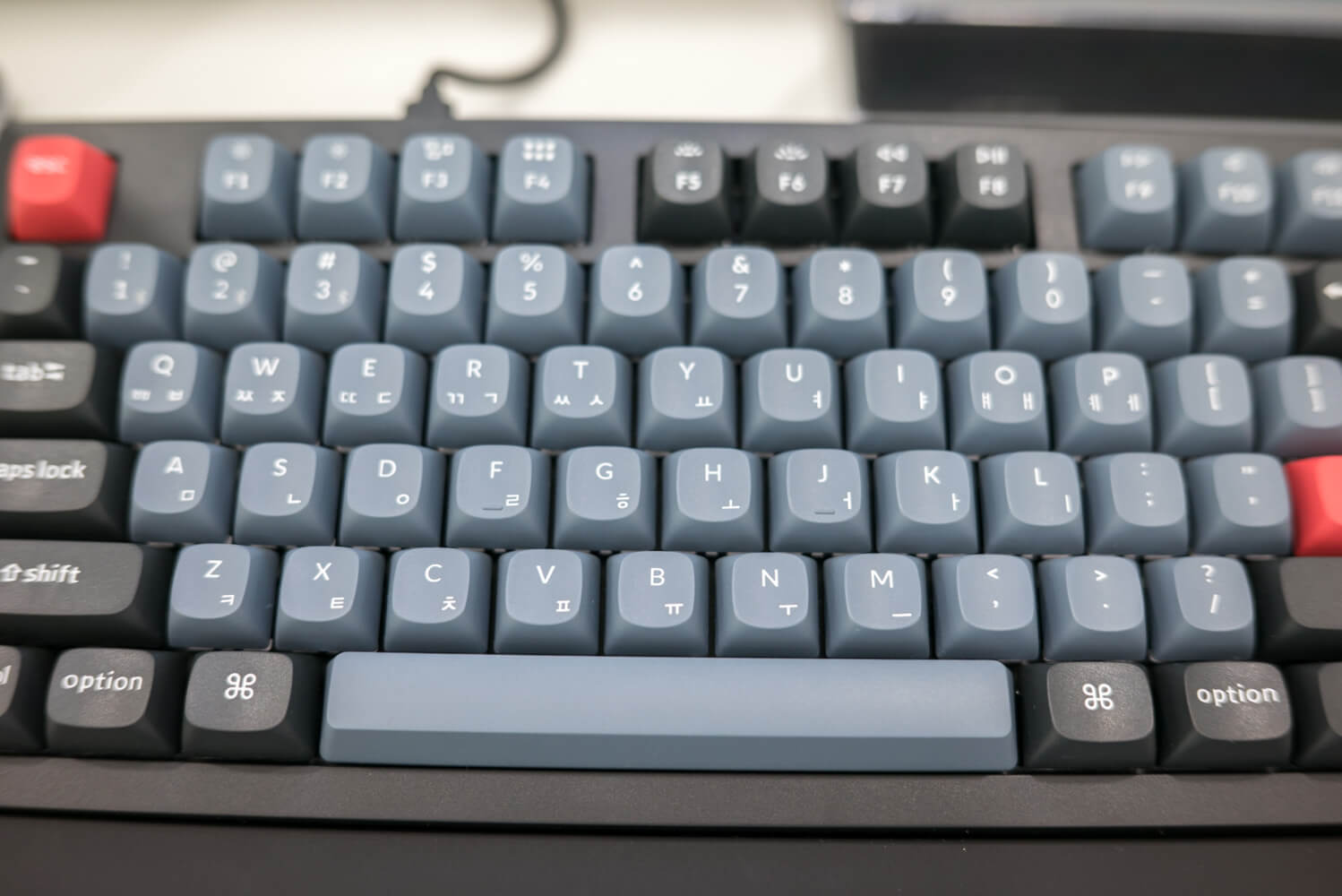 타건샵 추천 마리오 아울렛 롯데 하이마트