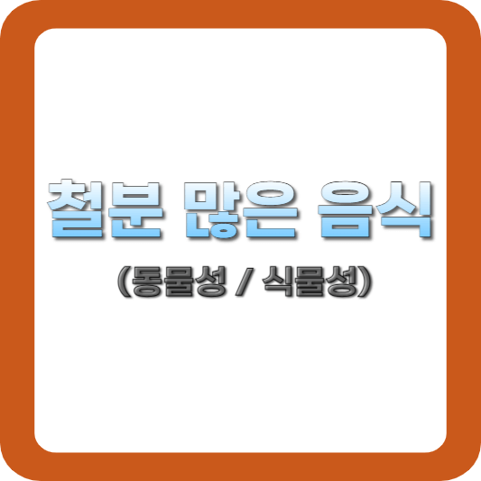 철분-많은-음식