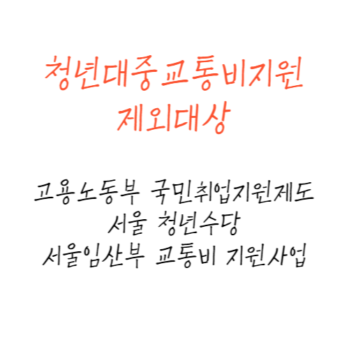 서울시청년대중교통비지원