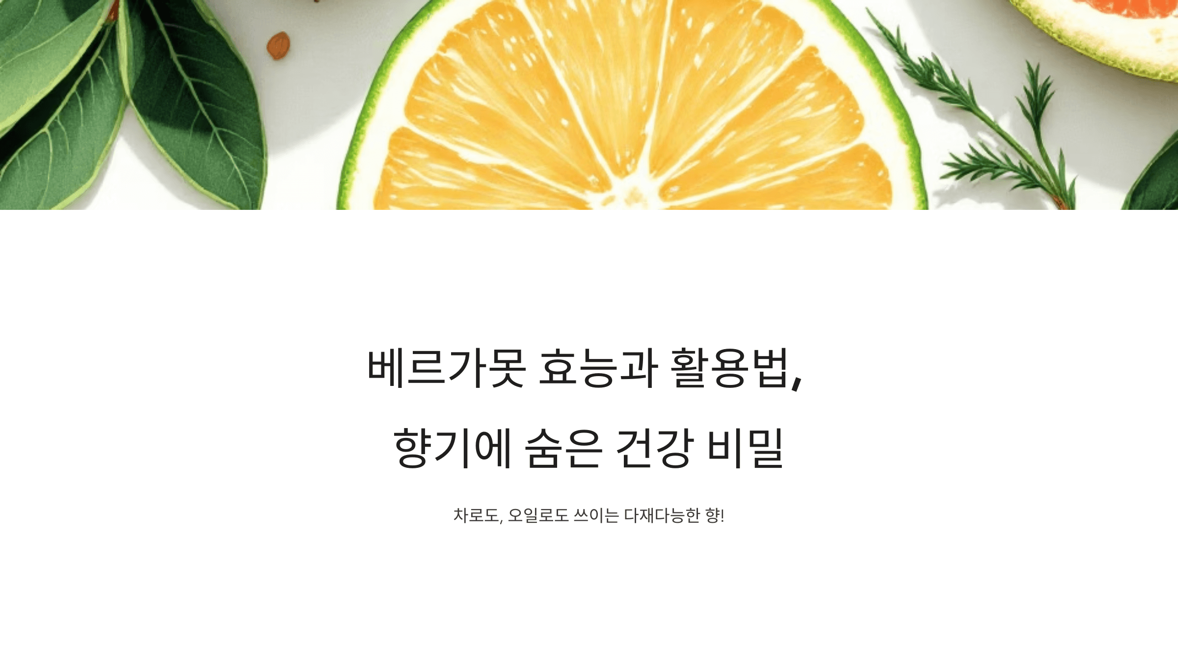 베르가못 사진입니다.
