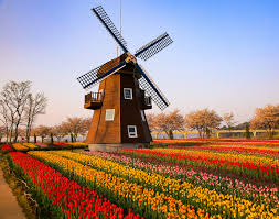 5월 가족여행지 추천: 전남 순천만 국가정원 봄꽃 가득