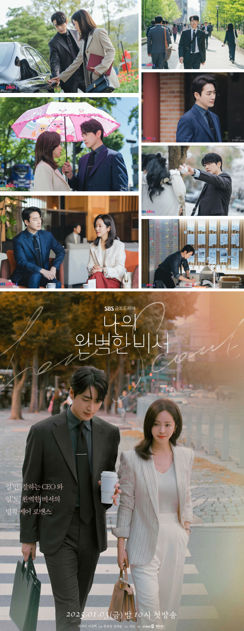 나의 완벽한 비서