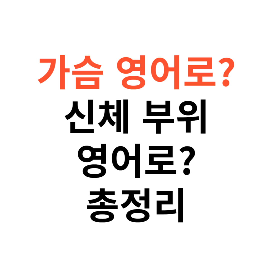 가슴 영어