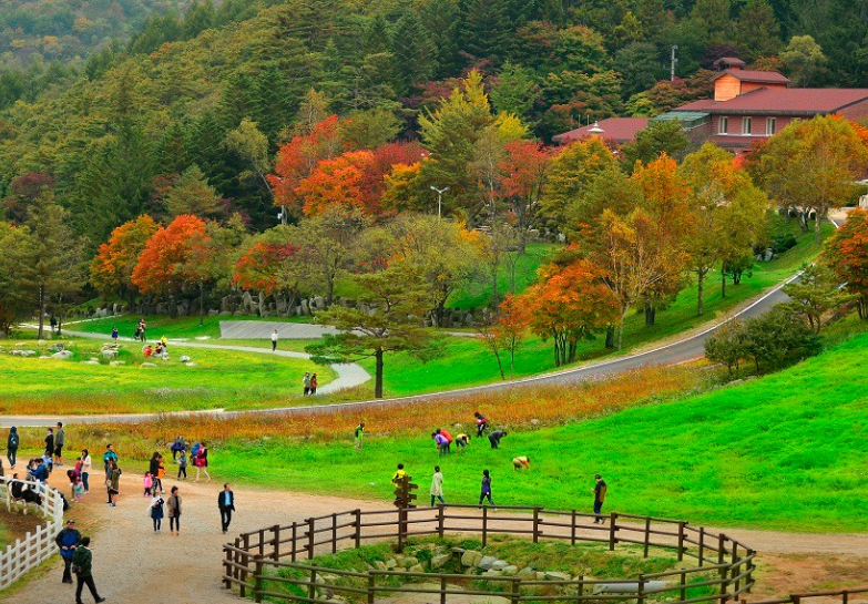 대관령 하늘목장