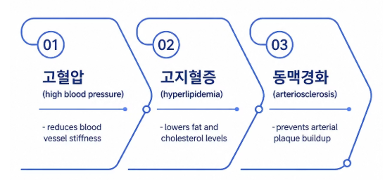 양파 효능