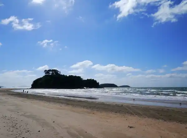 보령가볼만한곳 대천항유람선정보