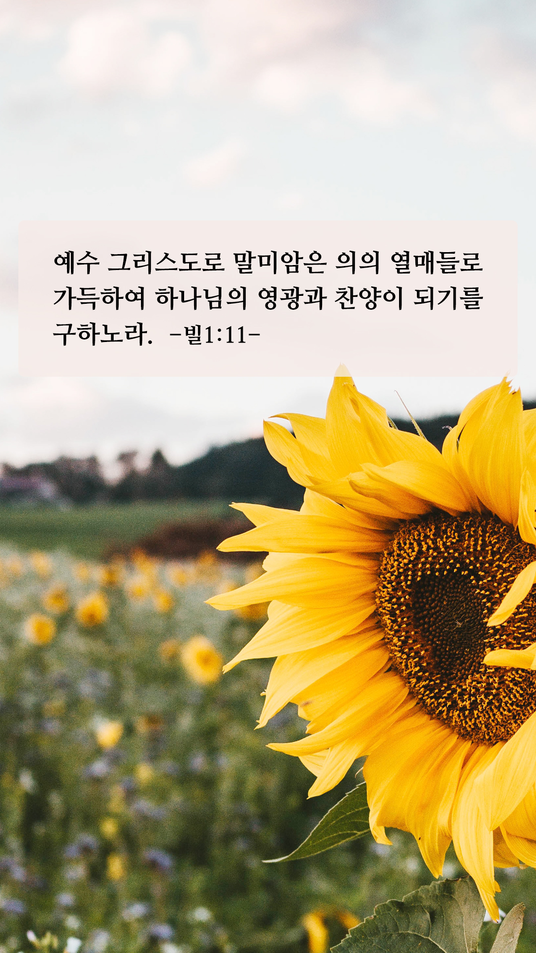 성경구절 명언