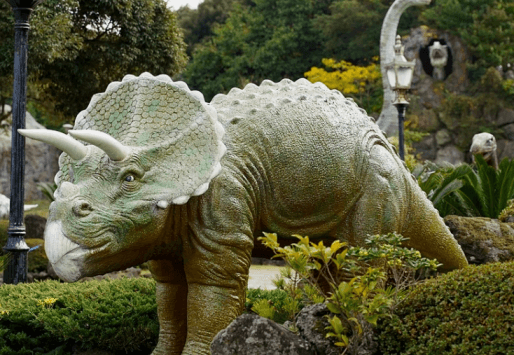 공룡랜드트리케라톱스