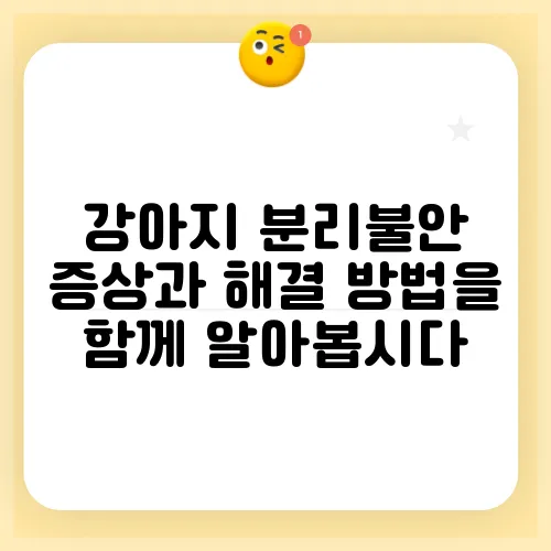 강아지 분리불안 증상과 해결 방법을 함께 알아봅시다