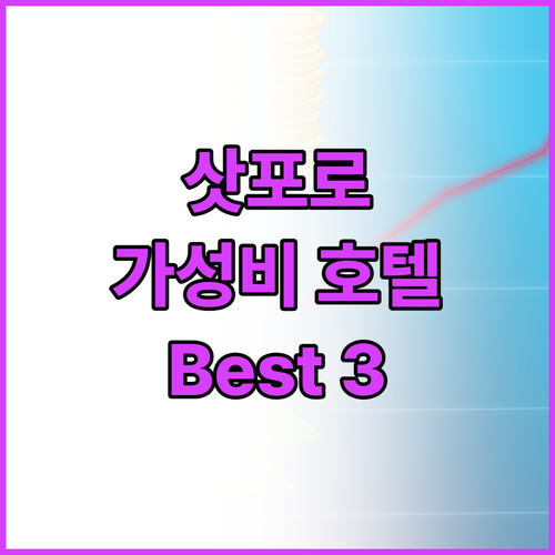 삿포로 여행객 필독! 가성비 최고 호..
