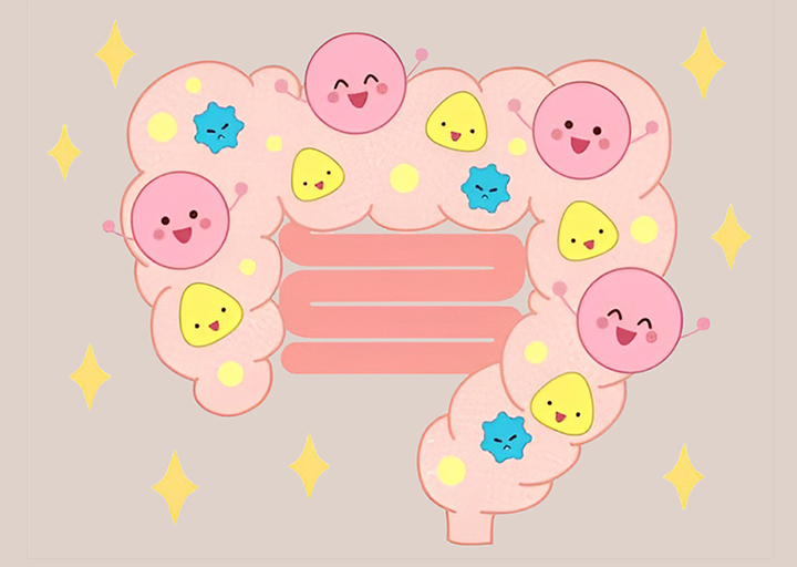 장이-흡수하는-모습