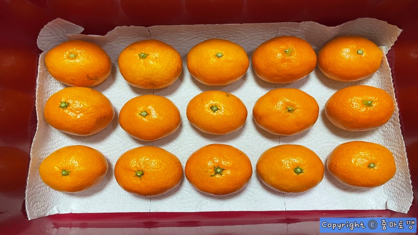 키친타월-깔고-귤-보관