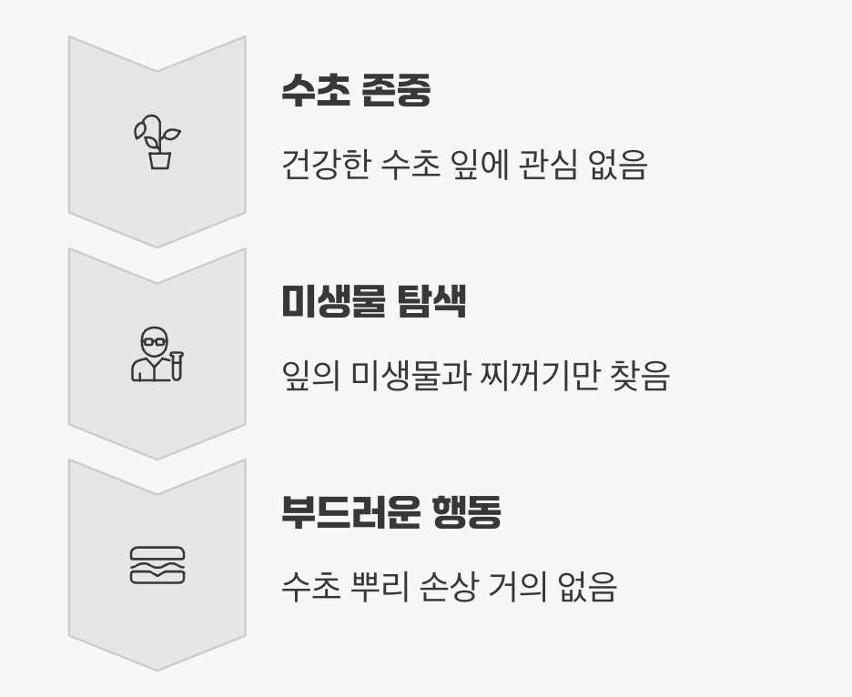 식물과 공존하는 똑똑한 물고기