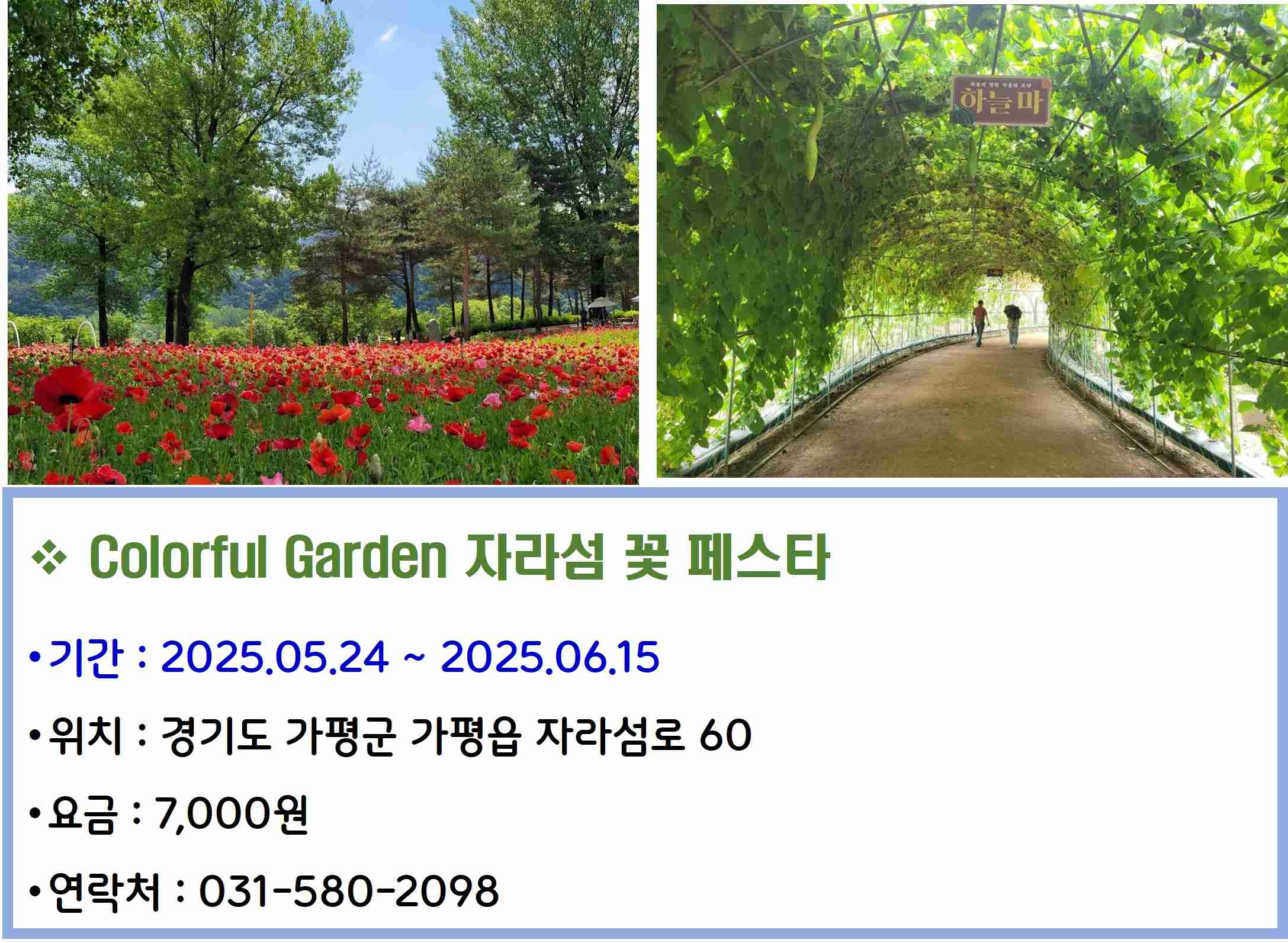 Colorful Garden 자라섬 꽃 페스타