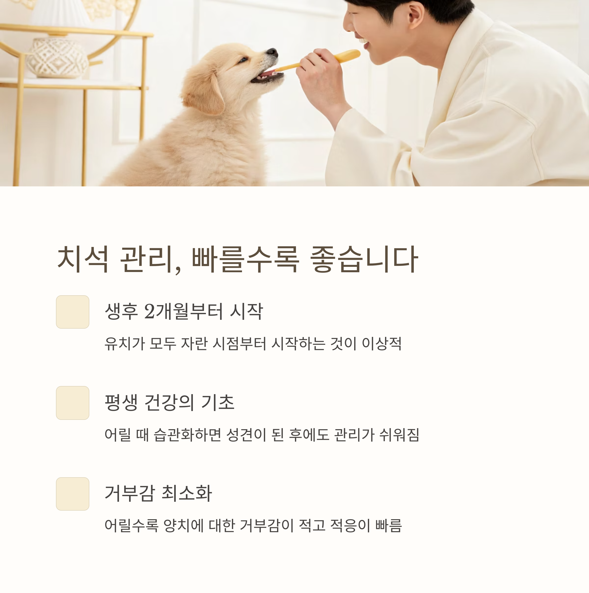 치석 관리, 빠를수록 좋습니다