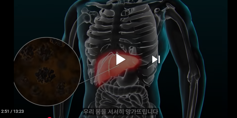 설탕대체_위고비효과_(5) 영상화면 스틸컷