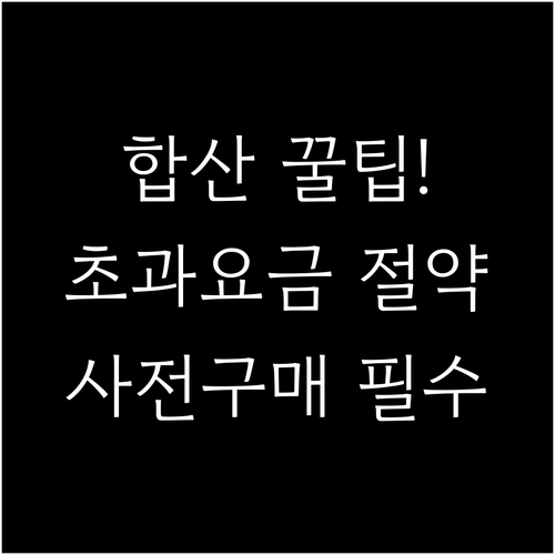 홍콩항공 수하물 합산과 초과 요금 사..