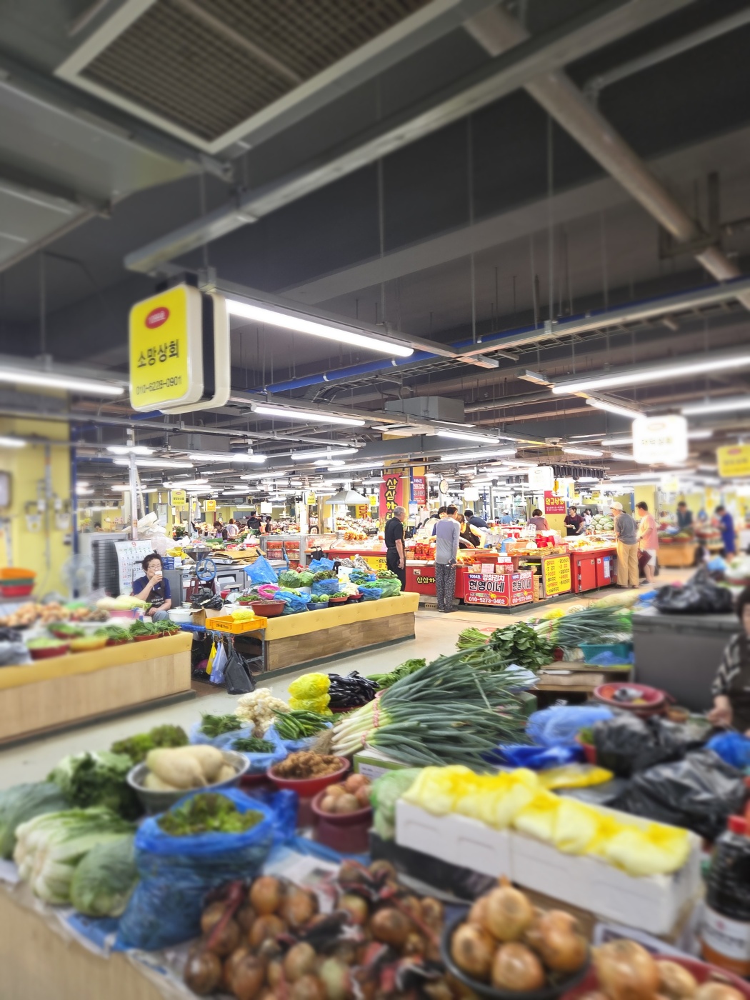 강화도 1박2일 효도여행