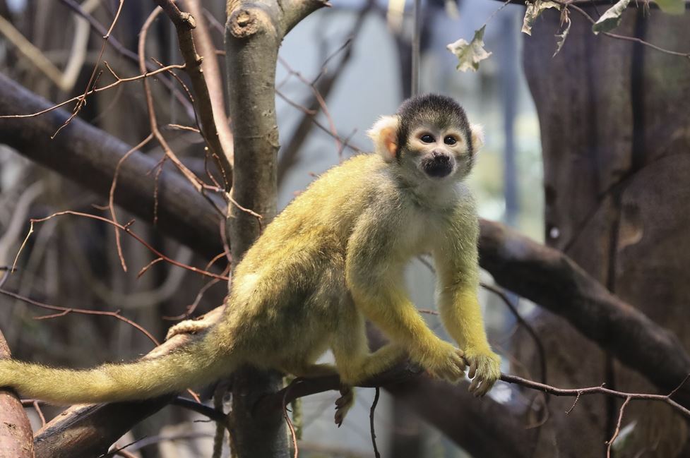 2026년 2월 띠별 운세 총정리 (+년도별)