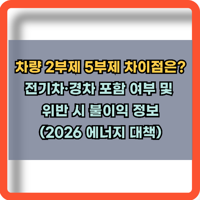 차량 2부제, 5부제 차이점과 위반 시 불이익 정보