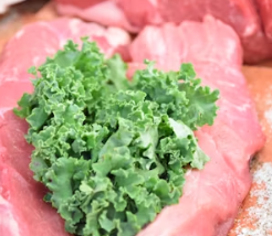 치커리 효능 부작용 뿌리 가루 고르는법 칼로리