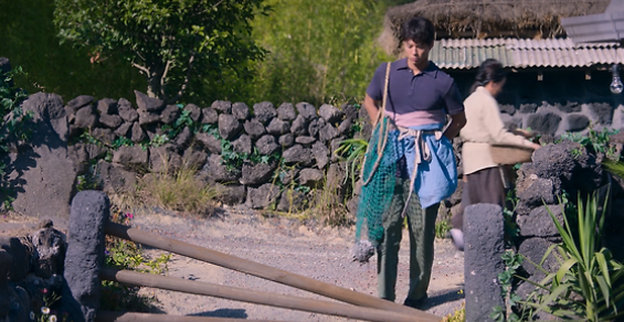 제주 세화리 돌담길 전통가옥