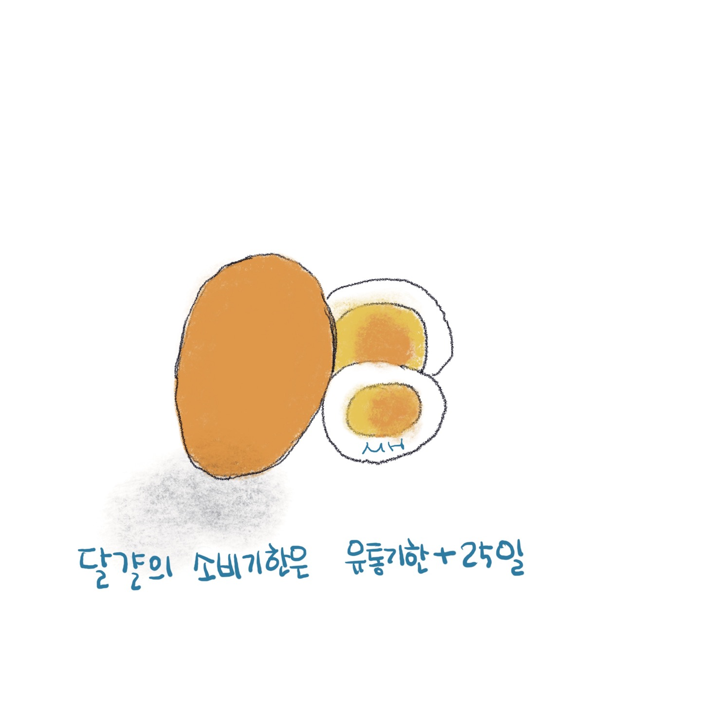 반으로 쪼갠 삶은 달걀 그림