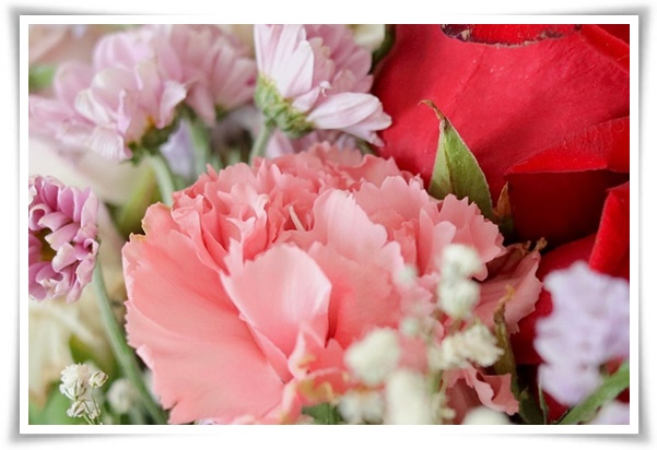 &quot;생화 꽃다발&quot; 특별한 순간을 오래 보관하는 신선함 유지 비결!