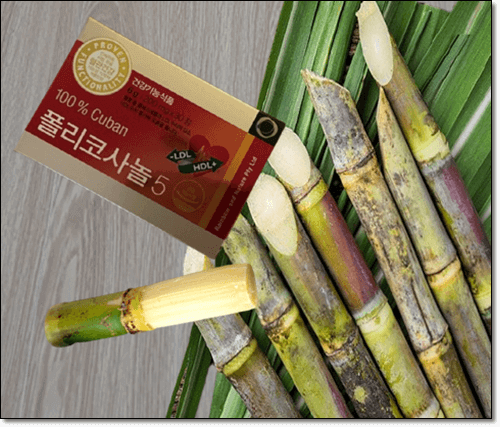 사탕수수,폴리코사놀 보충제