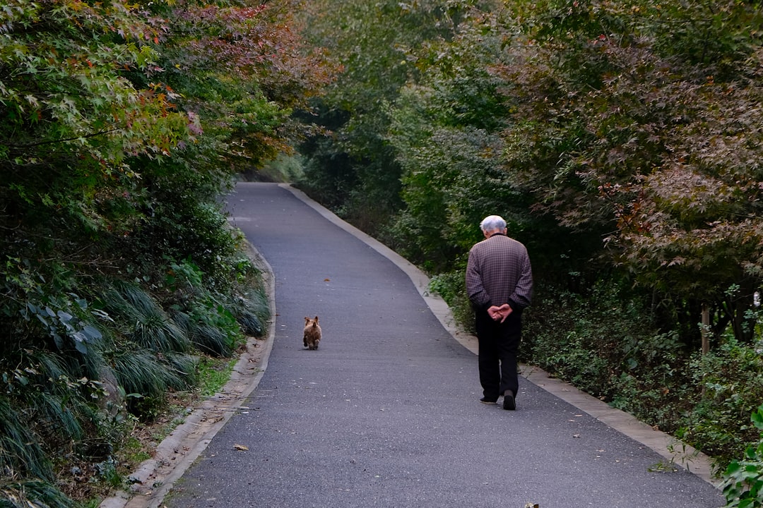 Walk.