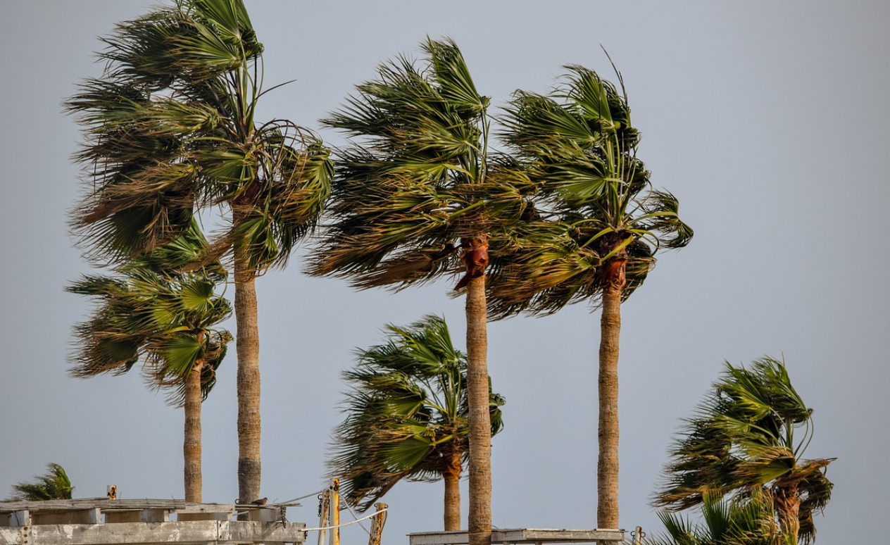 바람이 강한 날, 스코어를 지키는 필드 전략