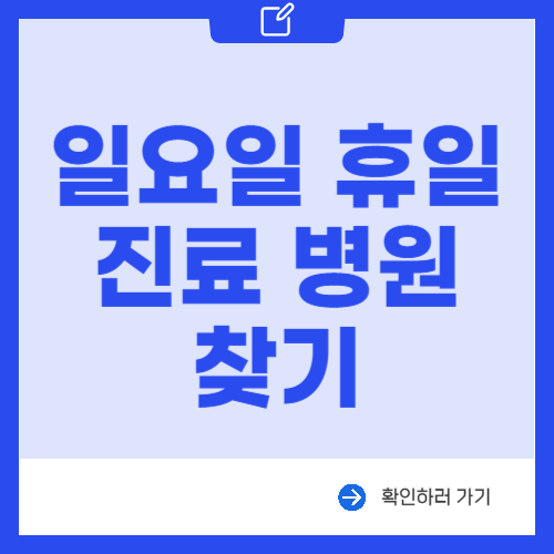 일요일 휴일 진료 병원 찾기