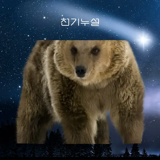 곰이 나오는 꿈 해몽