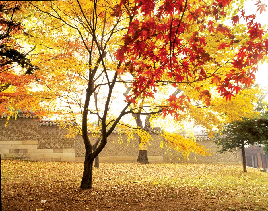 2023 수능 성적표 발급 받는 방법