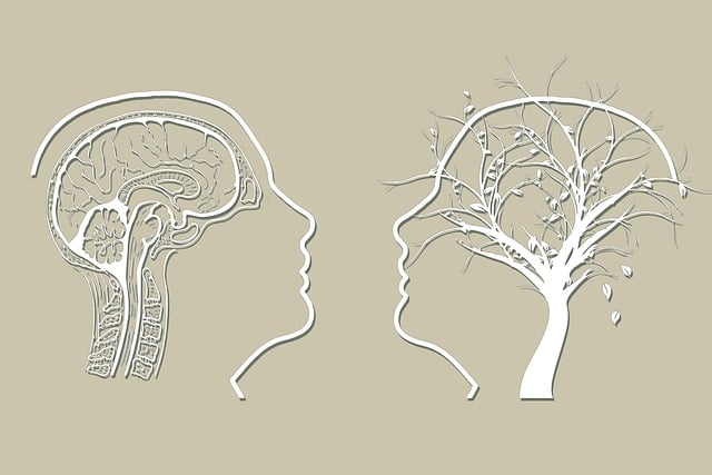 서울 인천 경기도 치매상담 치매 치료 안내 치매안심센터 주소 전화번호 치매상담 콜센터6