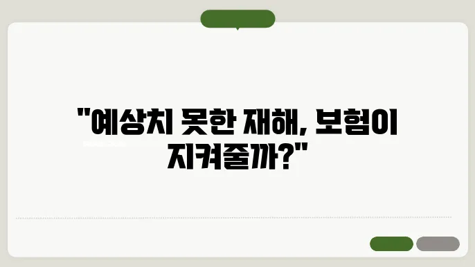 대표적인 재해 유형과 특징