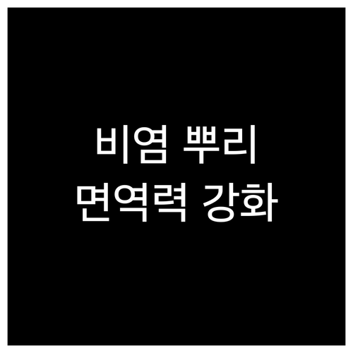 알레르기 비염 뿌리 뽑는 방법 면역력