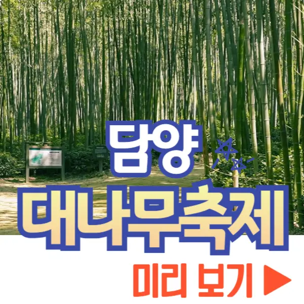 담양 대나무축제