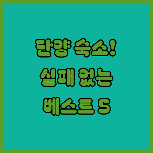 단양 여행 숙소 추천 베스트 5 위치..