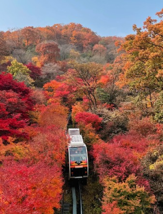경기도-광주시-화담숲-가을-단풍-명소