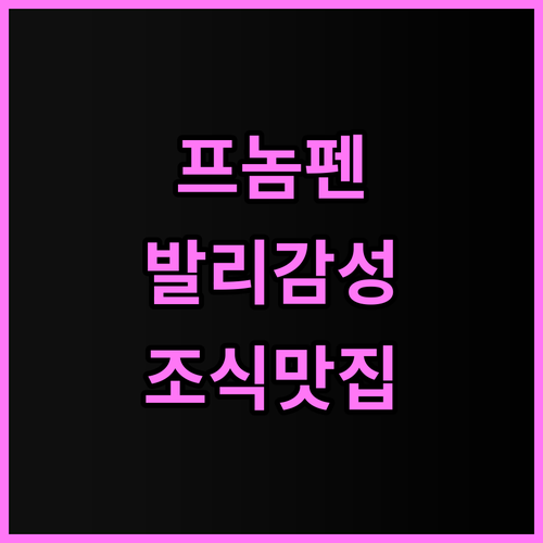 발리 호텔 프놈 펜 후기 넓은 객실과..