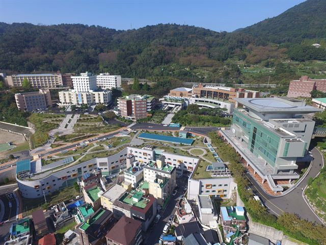 경상남도 대학 총정리 (입학처·대표전화 + 바로가기) 한눈에.